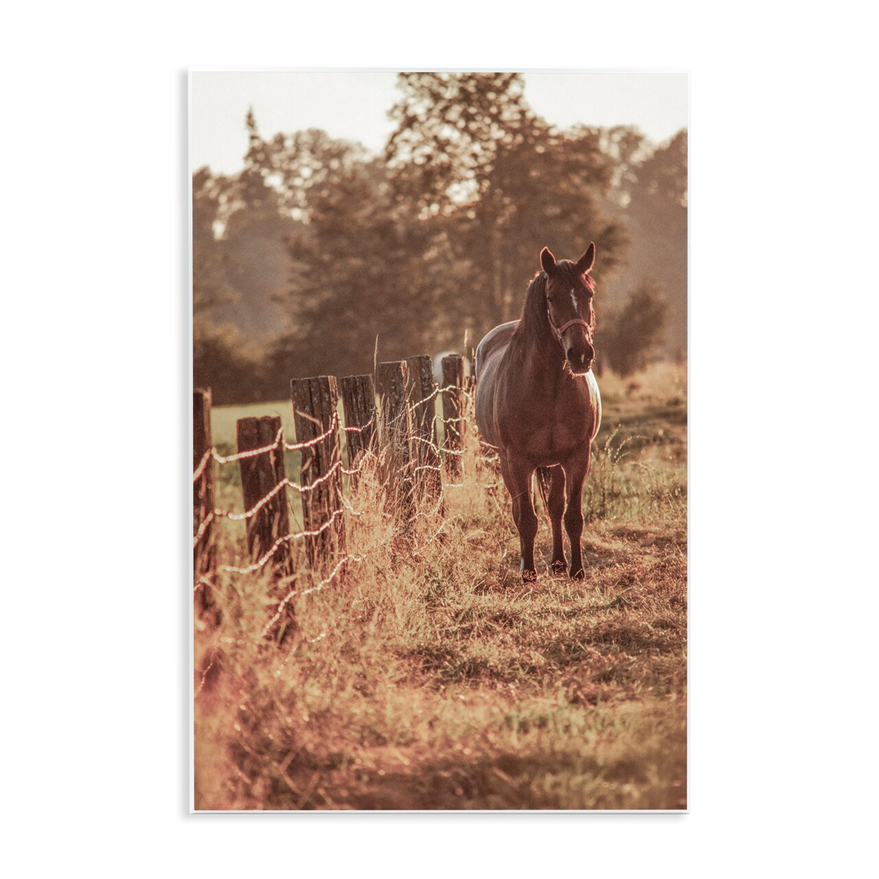 Stupell Industries Horse's Ranch Scene Wall Plaque, design by Norm Stelfox